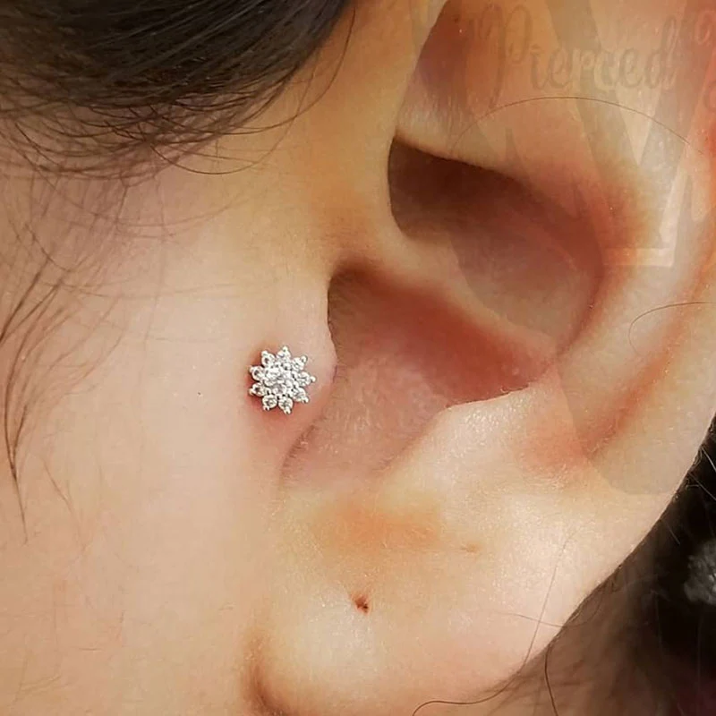 2 Tragus Piercings 16y+ in Mississauga + Excluding Jewelry - Image 3