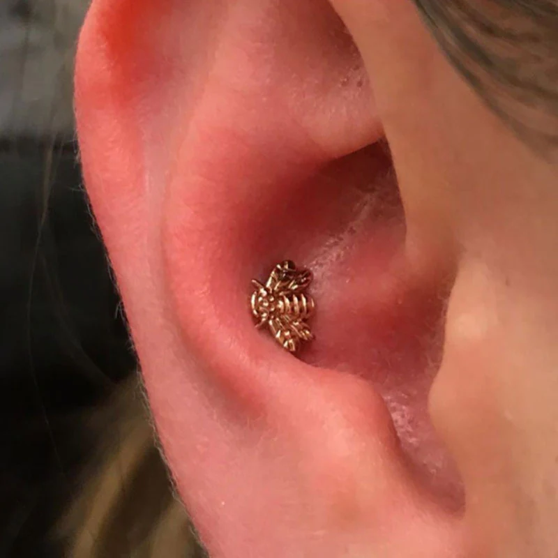 2 Conch Piercings 16y+ in Mississauga + Excluding Jewelry - Image 3