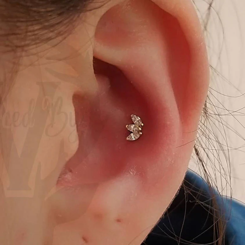 2 Conch Piercings 16y+ in Mississauga + Excluding Jewelry - Image 4