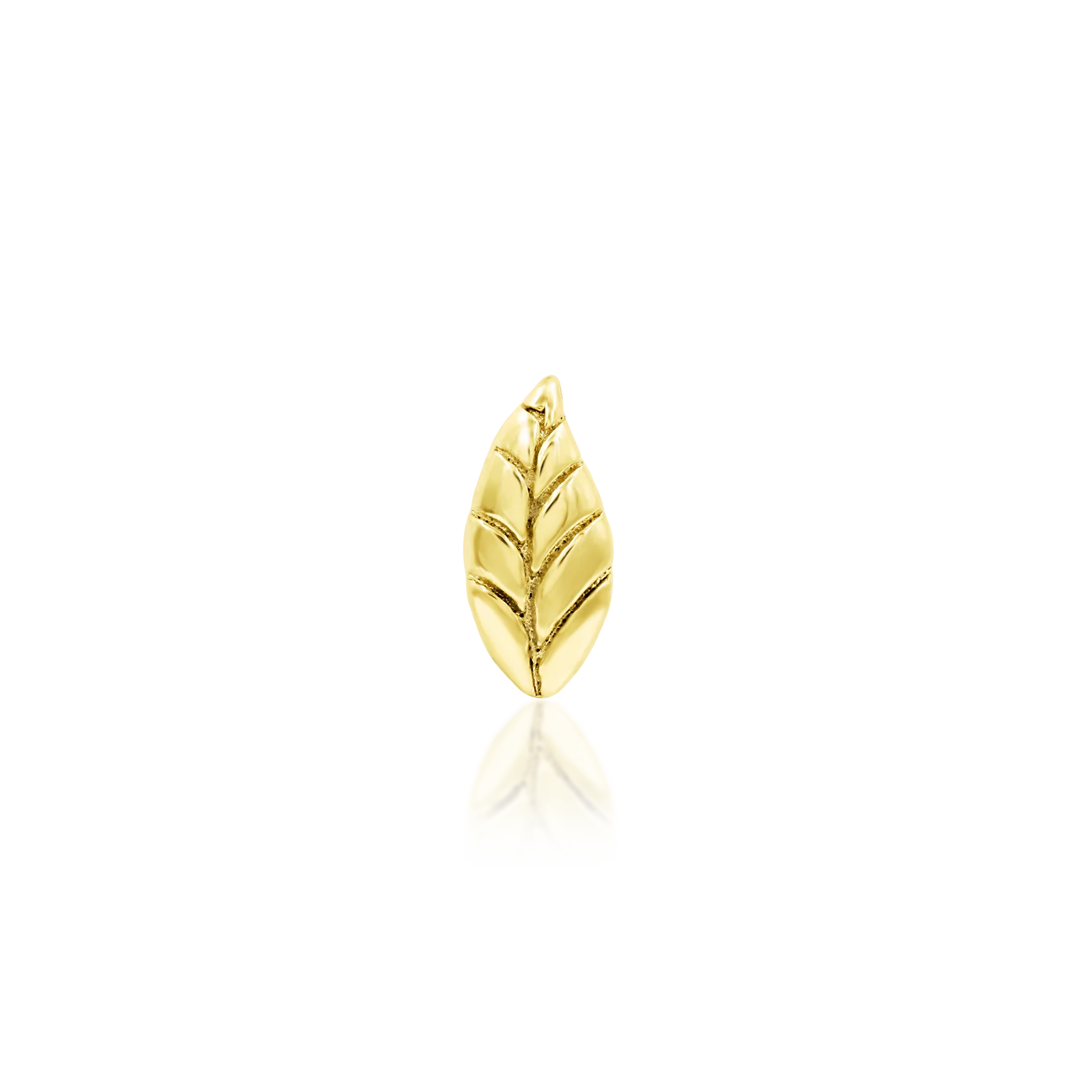 Bay Leaf in 14k Gold by Junipurr