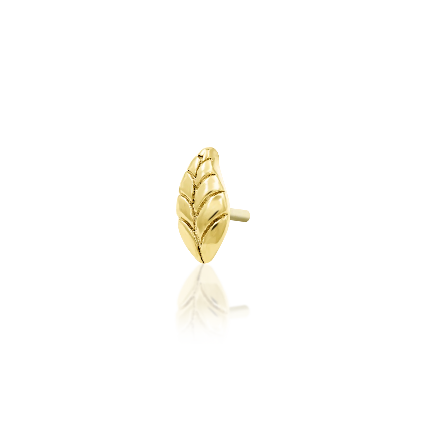 Bay Leaf in 14k Gold by Junipurr - Image 2