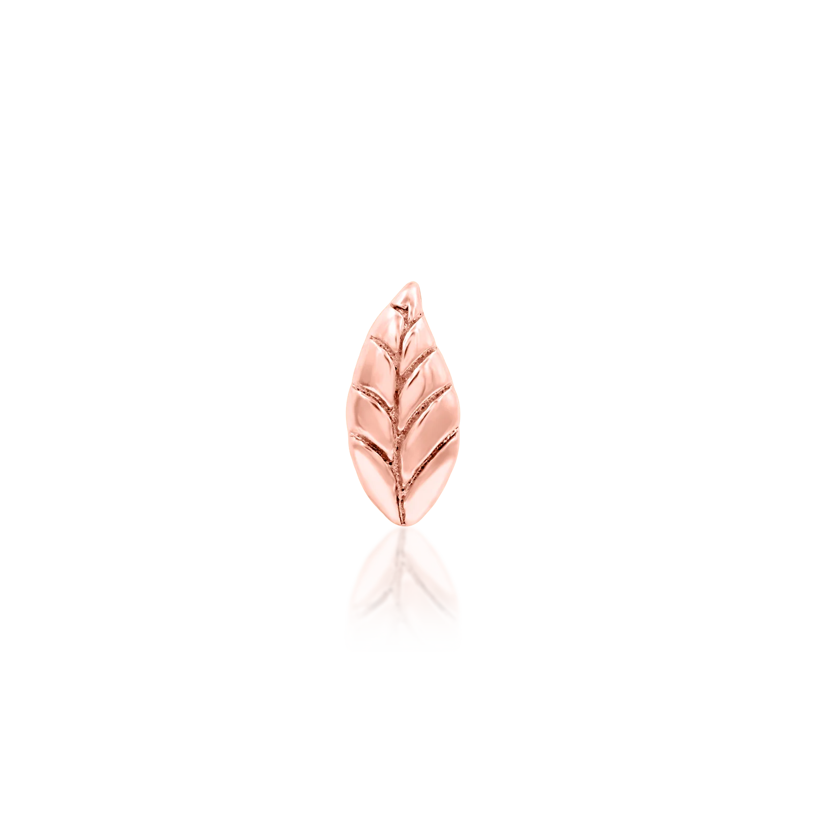 Bay Leaf in 14k Gold by Junipurr - Image 4