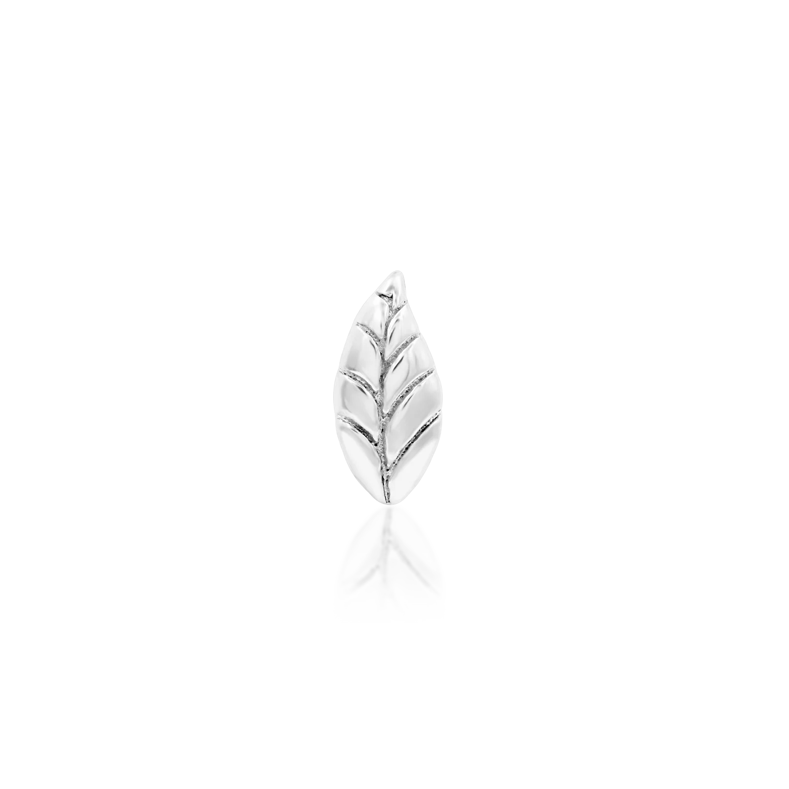 Bay Leaf in 14k Gold by Junipurr - Image 5