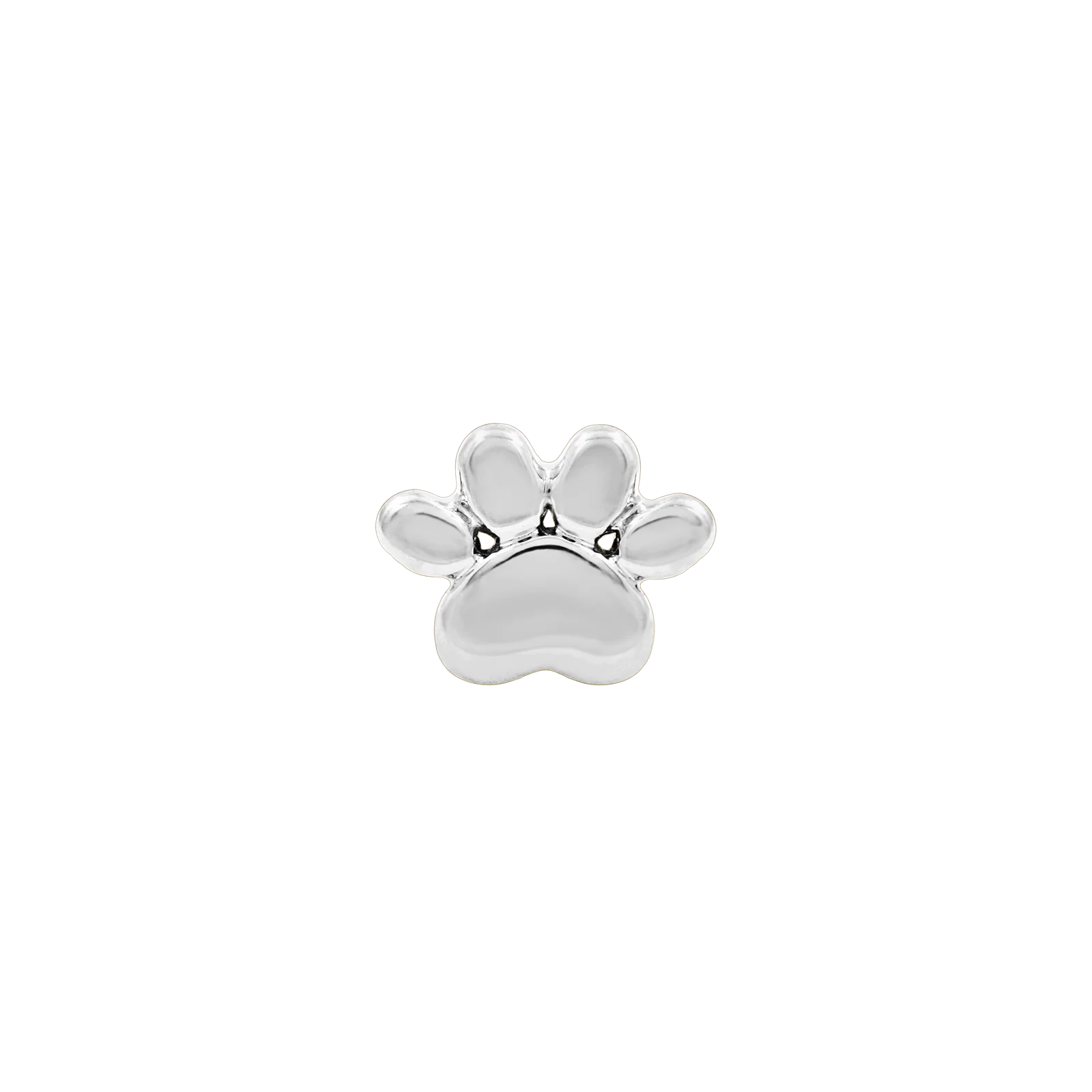 Dog Paw in 14k Gold by Junipurr - Image 2