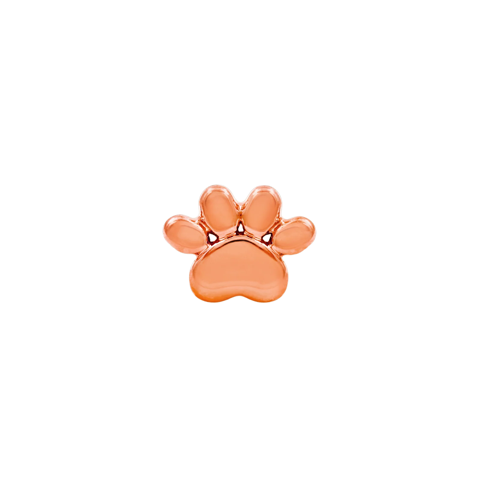 Dog Paw in 14k Gold by Junipurr - Image 3