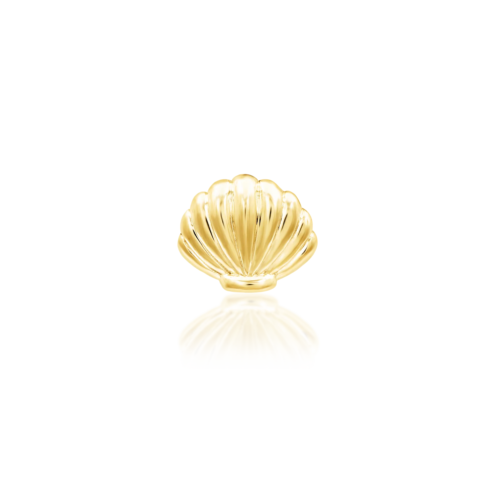 Shelldyn in 14k Gold by Junipurr