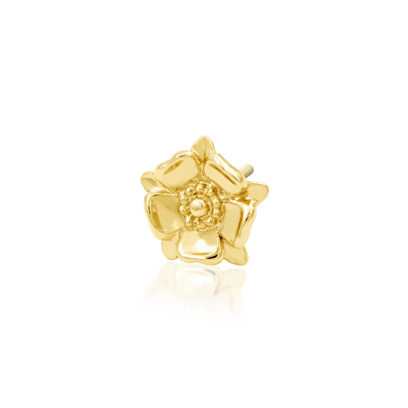 Shinier Than Thou in 14k Gold by Junipurr - Image 2