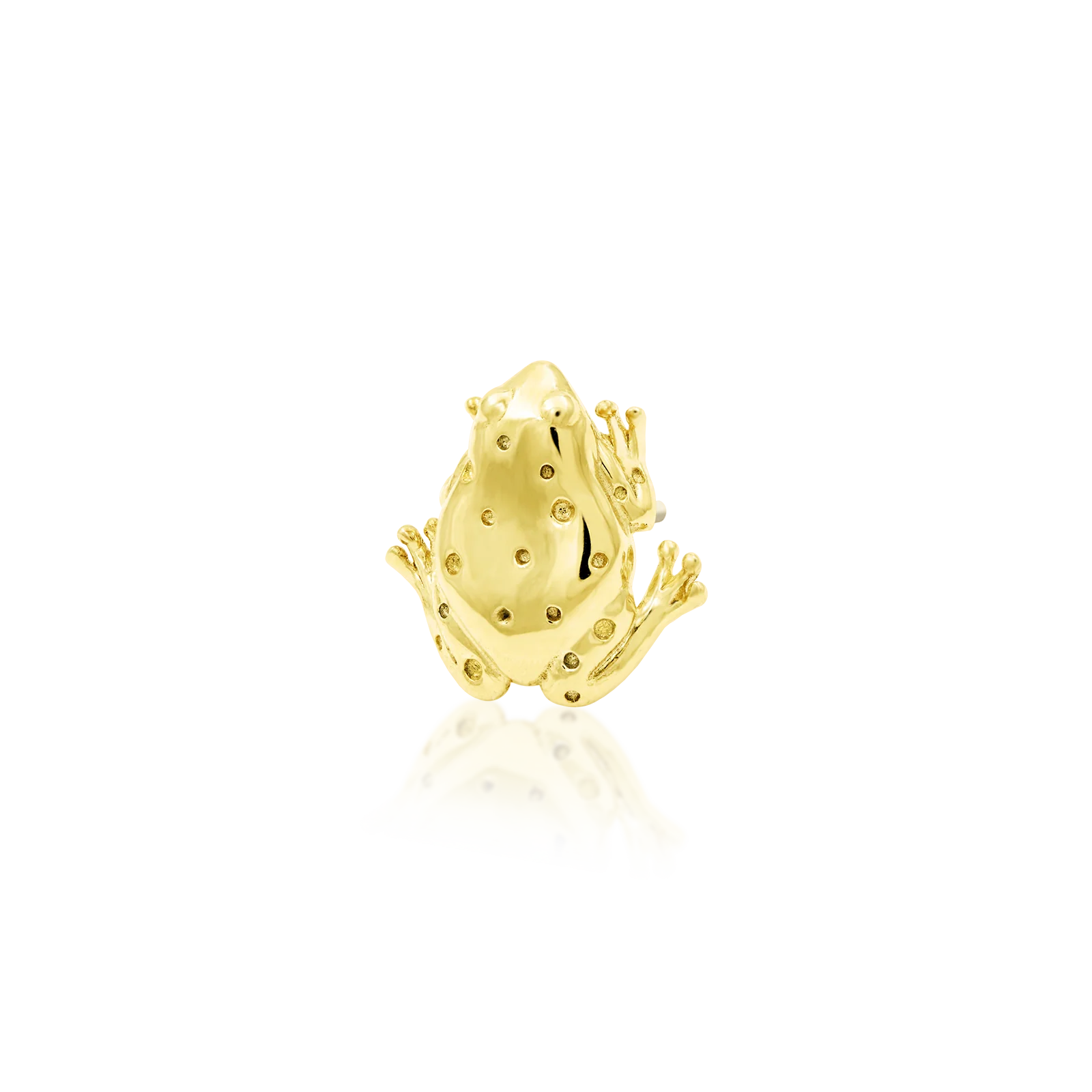 Sir Hops in 14k Gold by Junipurr - Image 2